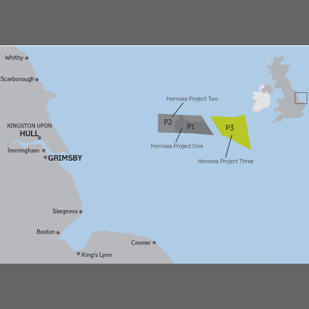Thomson are providing ecology surveys for DONG Energy on Hornsea offshore wind farm