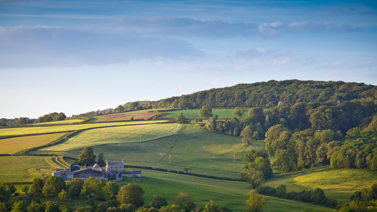 Biodiversity net gain