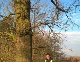 Sheerwater Regeneration Project