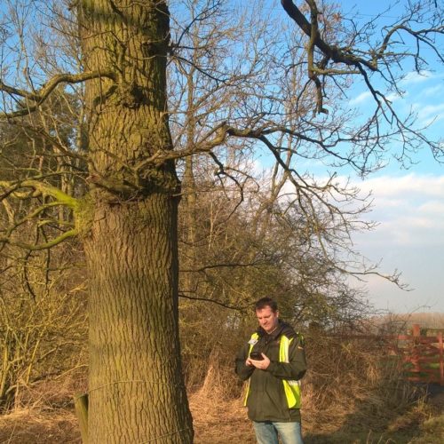 Sheerwater Regeneration Project