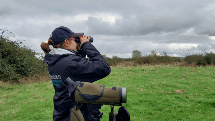 ecological survey