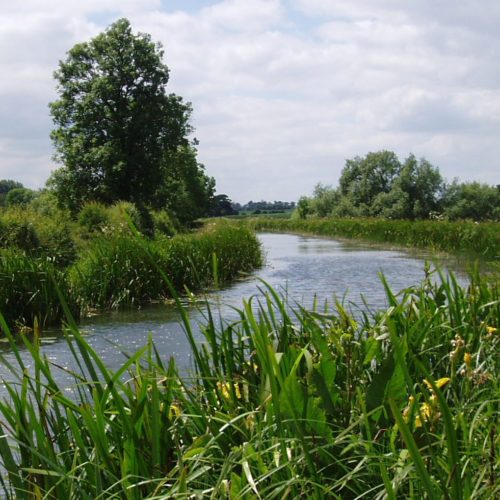 Marine and freshwater  invertebrate surveys