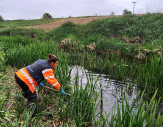 River SOAF Case Study - Thomson Team