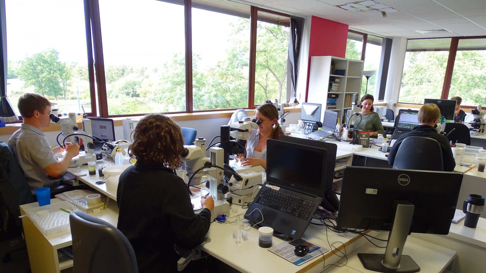 On the lookout for Sabellaria spinulosa