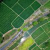 QGIS