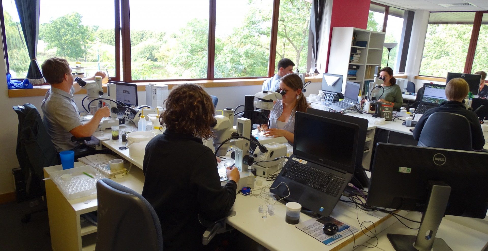 Fish identifications and dissections