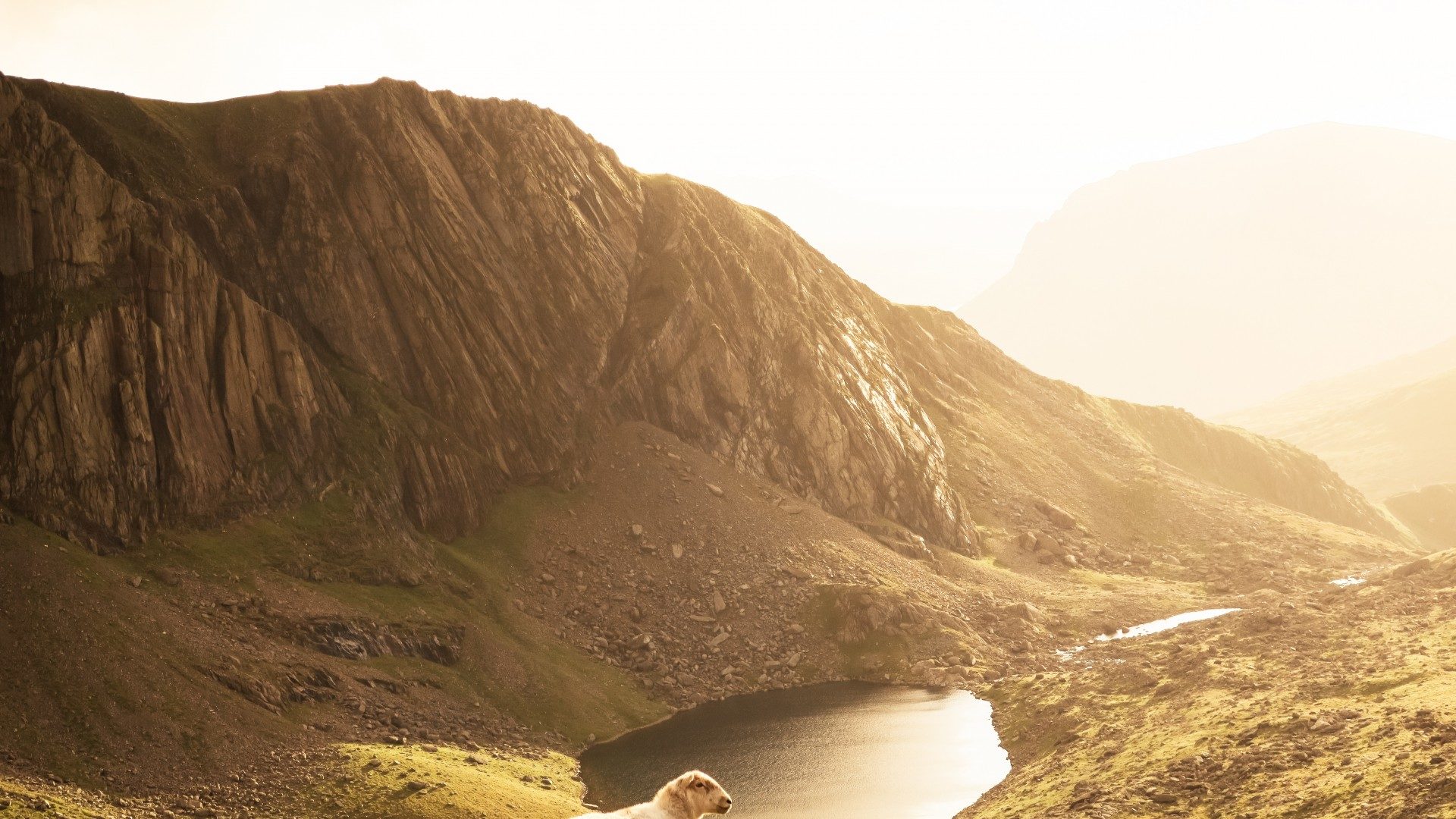 Welsh Government publishes White Paper on Brexit