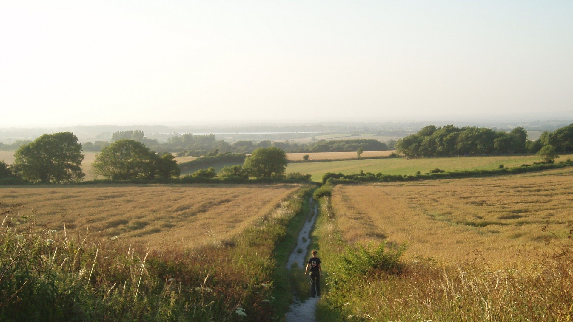 Trump, Brexit and the environment