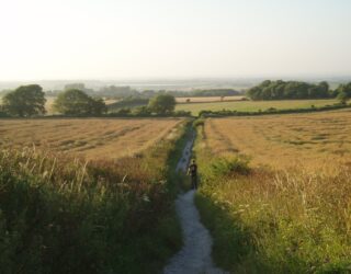 Trump, Brexit and the environment