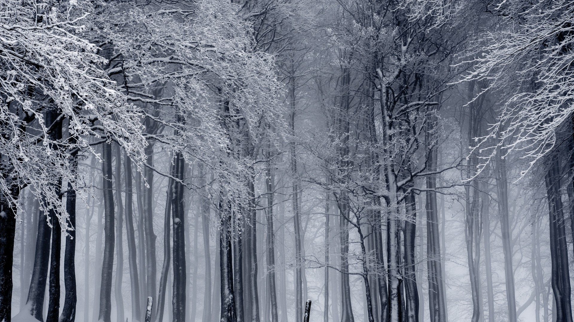 Winter work – get ahead of the game