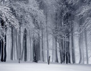 Winter work – get ahead of the game