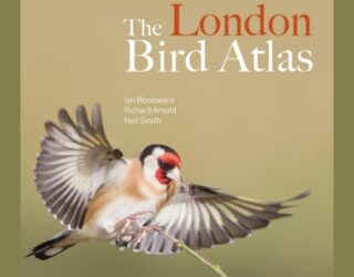New edition of the London Bird Atlas is now available