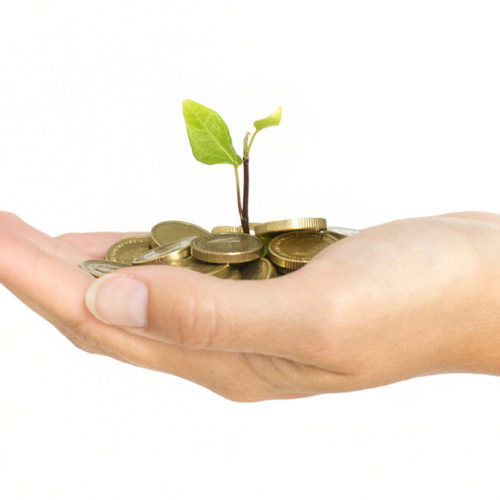 Autumn Budget - environmental announcements