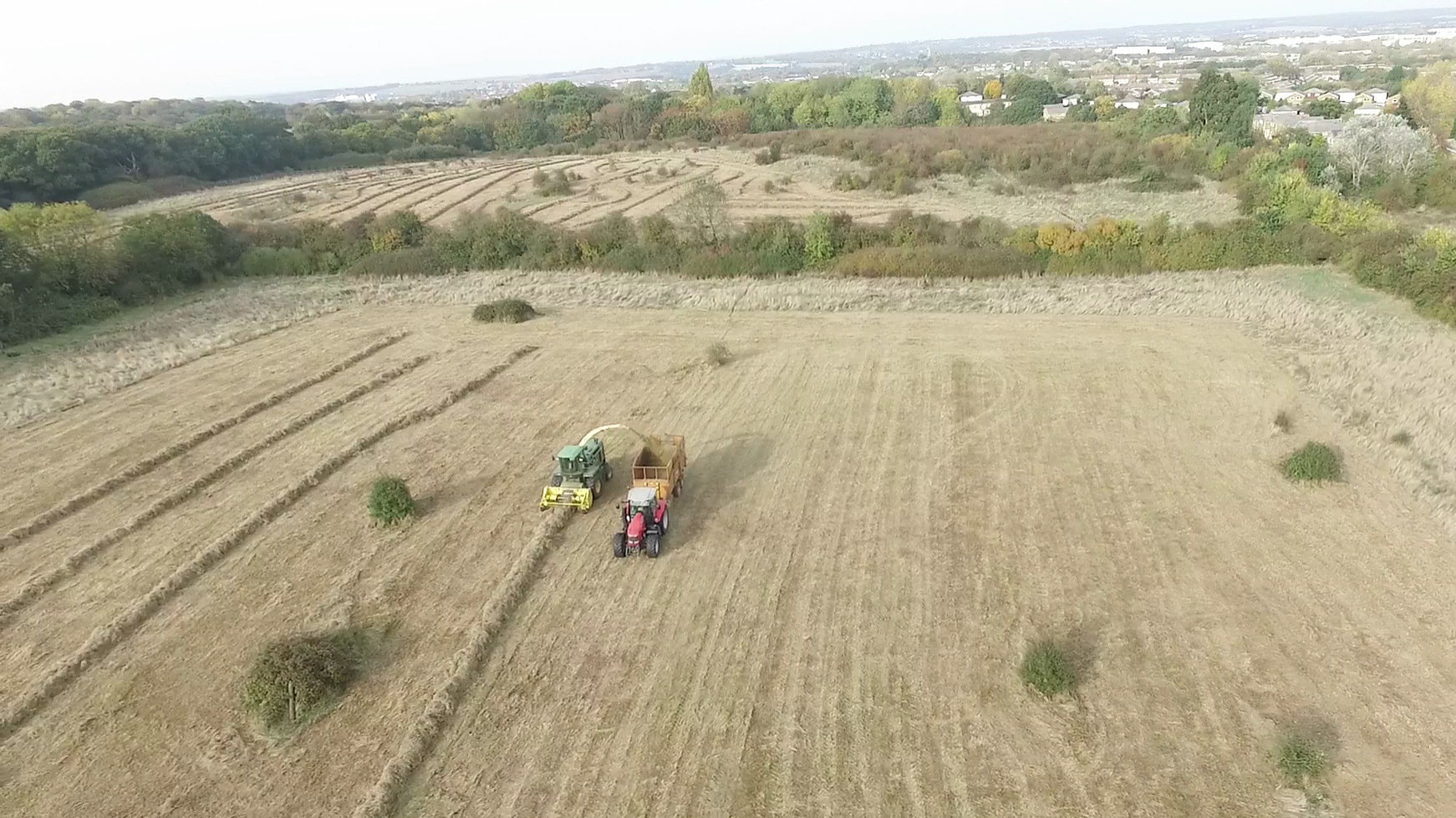 Compensating for habitat loss