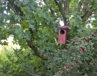 Meet planning conditions, help wildlife and save money