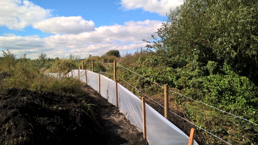 Habitat creation at busy factory site