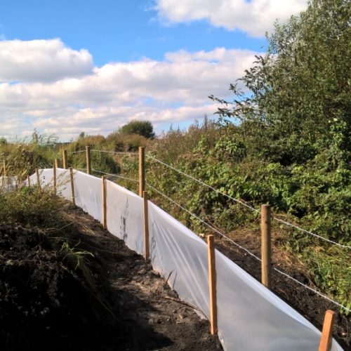 Habitat creation at busy factory site