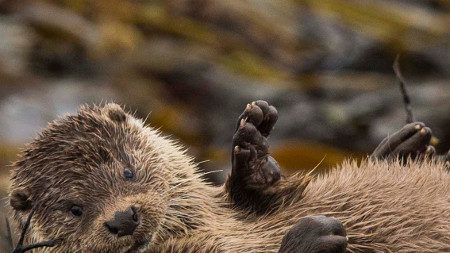 Enter our annual photo competition