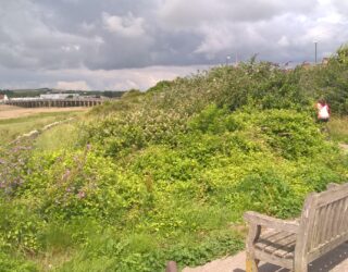 Thomson Habitats continue their work at Shoreham Adur tidal walls scheme