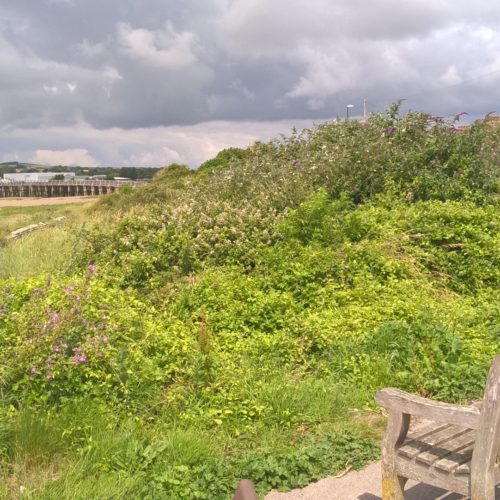 Thomson Habitats continue their work at Shoreham Adur tidal walls scheme