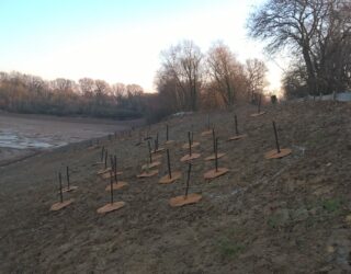 Winter planting tips and recommendations