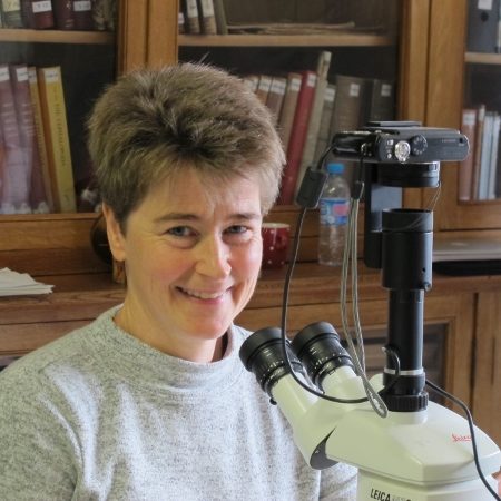 Dr Ruth Barnich to present at the World Conference on Marine Biodiversity