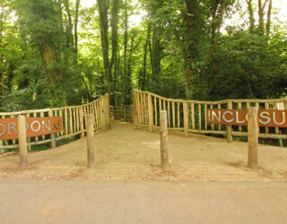 Thomson Ecology working with Whitehill Town Council