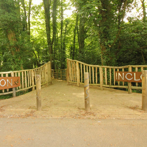 Thomson Ecology working with Whitehill Town Council