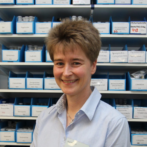 Dr Ruth Barnich