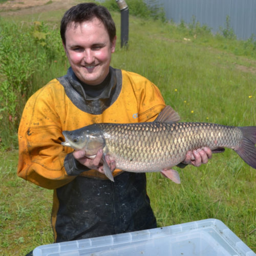Fish stock assessment of industrial site pond 1
