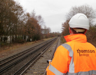 Thomson providing Network Rail with ecological training