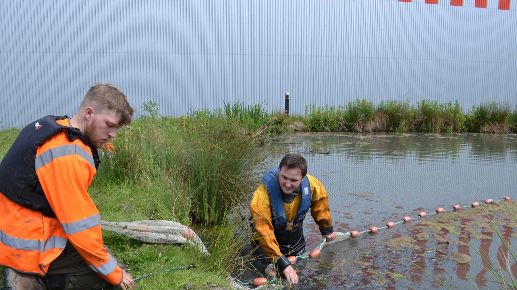 A day in the life of....Dr Shaun Plenty, Senior Aquatic Consultant