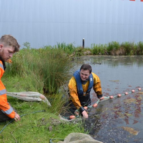 A day in the life of....Dr Shaun Plenty, Senior Aquatic Consultant