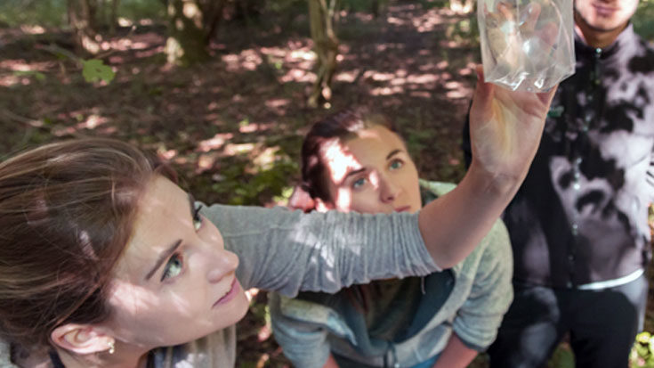 Assistant Ecologist, Heather Clayson, on a dormouse survey