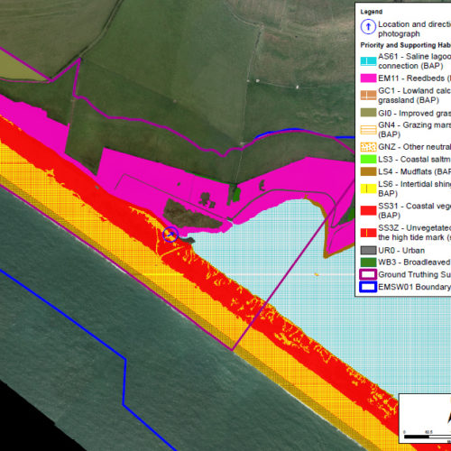 Mapping from aerial imagery of coastline in the South West of England © Thomson Environmental Consultants