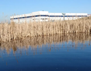 Receptor pond, DP World London Gateway © Joe Salkeld / Thomsonec
