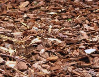 Wood chippings © Blandine Géneau / Flickr