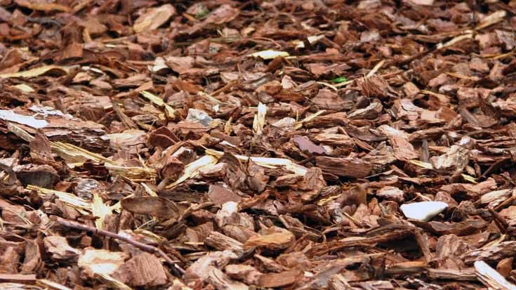 Wood chippings © Blandine Géneau / Flickr